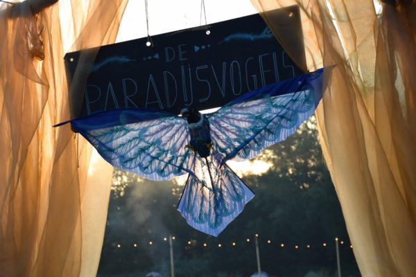 De_paradijsvogels_.jpg
